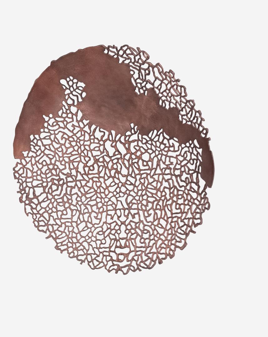 Apo coral wall plaque in raw bronze with circular sculptural design